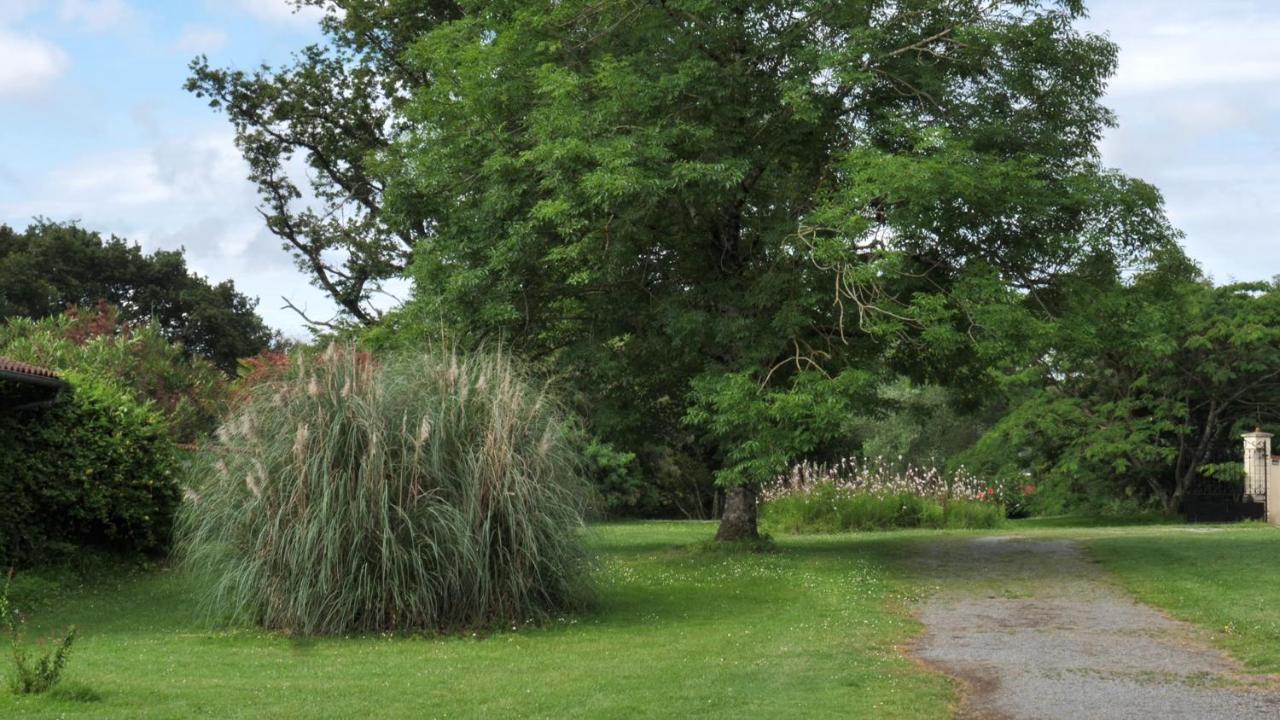 Laguian-Mazous Au Chemin De Mazousヴィラ エクステリア 写真
